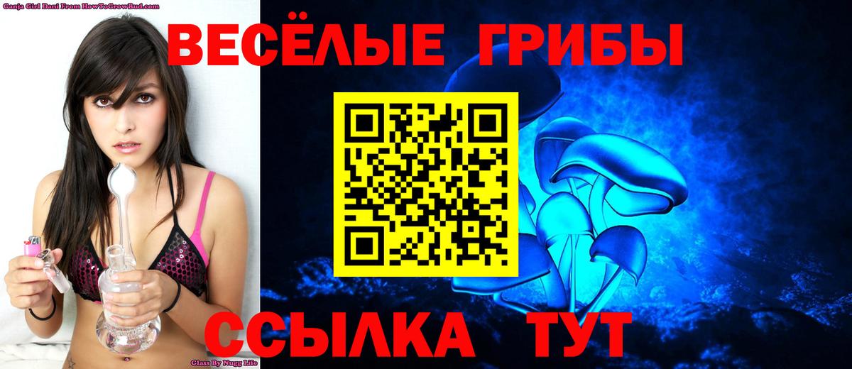 Галлюциногенные грибы Cubensis  Галлюциногенные грибы GOLDEN TEACHER  Анжеро-Судженск  Вход с VPN 